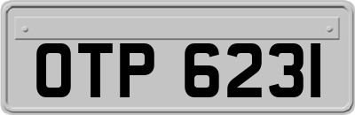 OTP6231