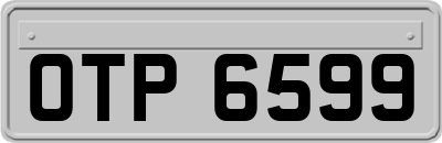 OTP6599