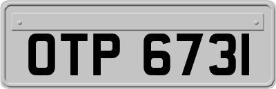 OTP6731