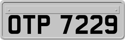 OTP7229
