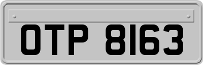 OTP8163