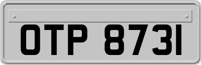 OTP8731