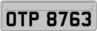 OTP8763