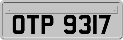 OTP9317