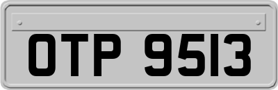 OTP9513