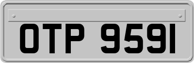 OTP9591
