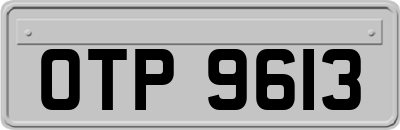 OTP9613
