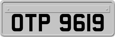OTP9619
