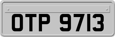 OTP9713