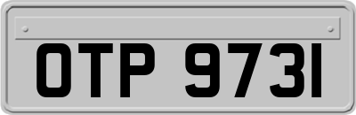 OTP9731