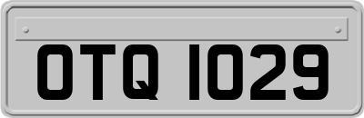OTQ1029