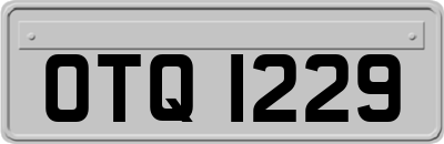 OTQ1229