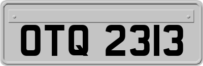 OTQ2313