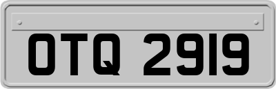 OTQ2919