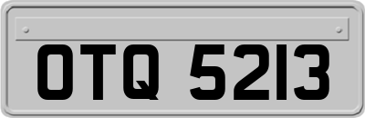 OTQ5213