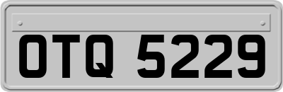 OTQ5229
