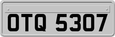 OTQ5307