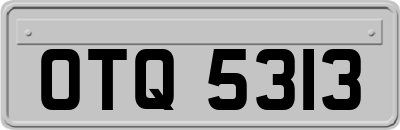 OTQ5313
