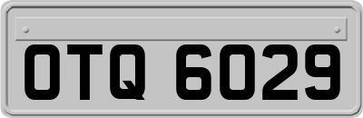 OTQ6029