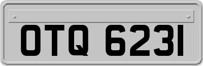 OTQ6231
