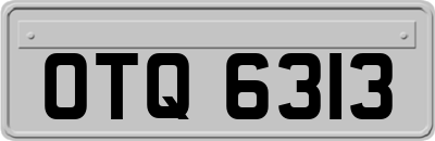 OTQ6313