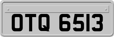OTQ6513