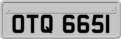 OTQ6651