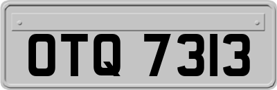 OTQ7313