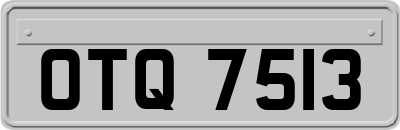 OTQ7513