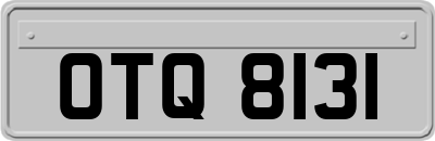 OTQ8131
