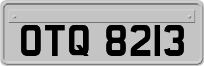 OTQ8213