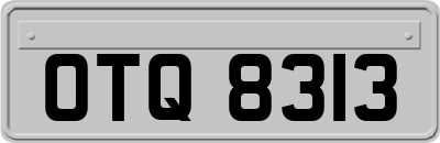 OTQ8313