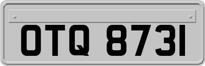 OTQ8731