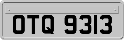 OTQ9313