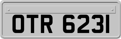 OTR6231
