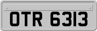 OTR6313