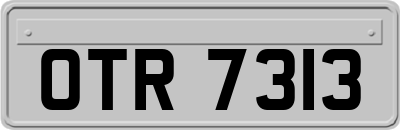 OTR7313