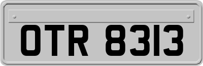 OTR8313