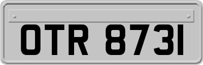 OTR8731