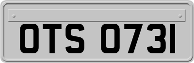 OTS0731