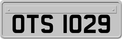 OTS1029