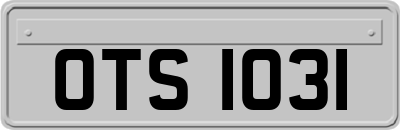 OTS1031