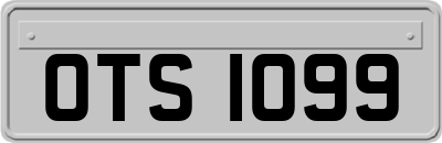OTS1099