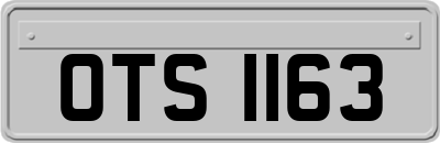 OTS1163