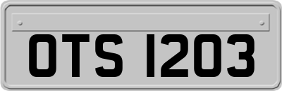 OTS1203