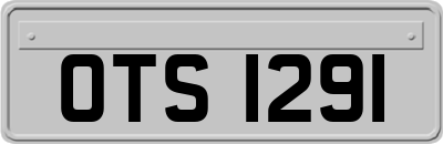 OTS1291