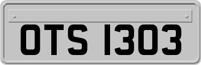 OTS1303