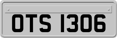 OTS1306