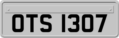 OTS1307