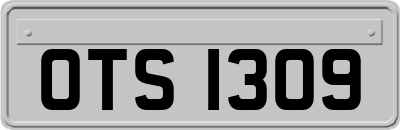OTS1309